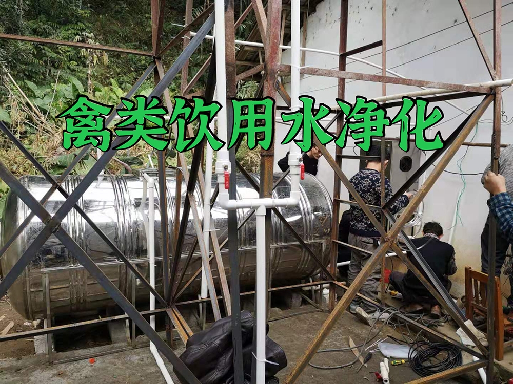 禽類飲用水凈化 禽類飲用水凈化